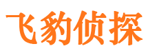 中江市私家侦探